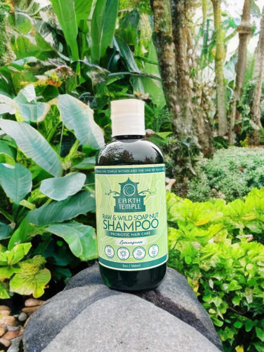 Lemongrass Essential Oil Scented Raw Soap Nut Shampoo 9oz